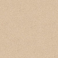 Ковролин Radici Abetone Polvere 4838 фото 1 | FLOORDEALER